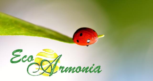 green e ambiente