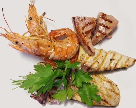 Restaurant Acqua Novella - Grilled fish