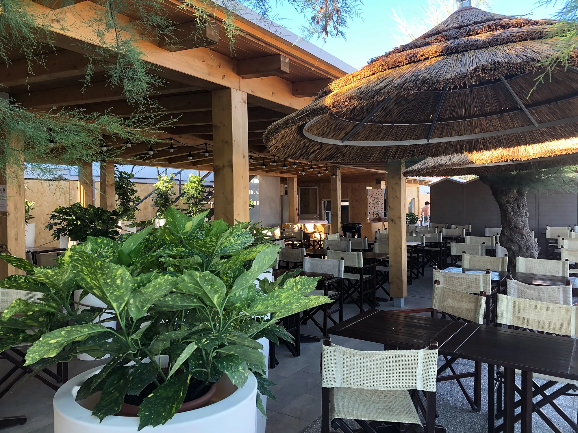 Nell'immagine il ristorante dell'hotel sulla spiaggia. Ci sono tavoli di legno scuro e sedie di legno e yuta. I tavoli a destra sono coperti da un ombrellone di paglia, quelli a sinistra da un pergolato di legno. In primo piano abbiamo un vaso con una pianta verde.